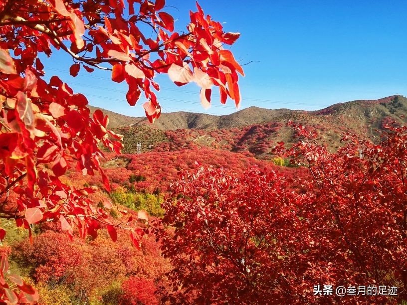 On weekends, check in Shunyi’s free scenic spot, the colorful shallow mountains, the red leaves are beautiful, and there are so many tourists.
