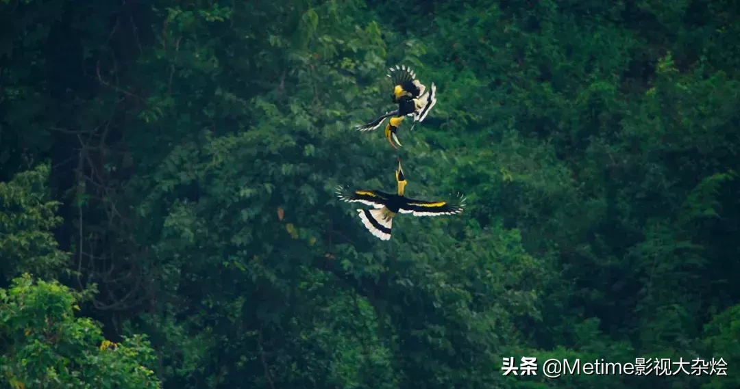 这个四月真的是好剧满满,选几部你喜欢的开始追剧吧!