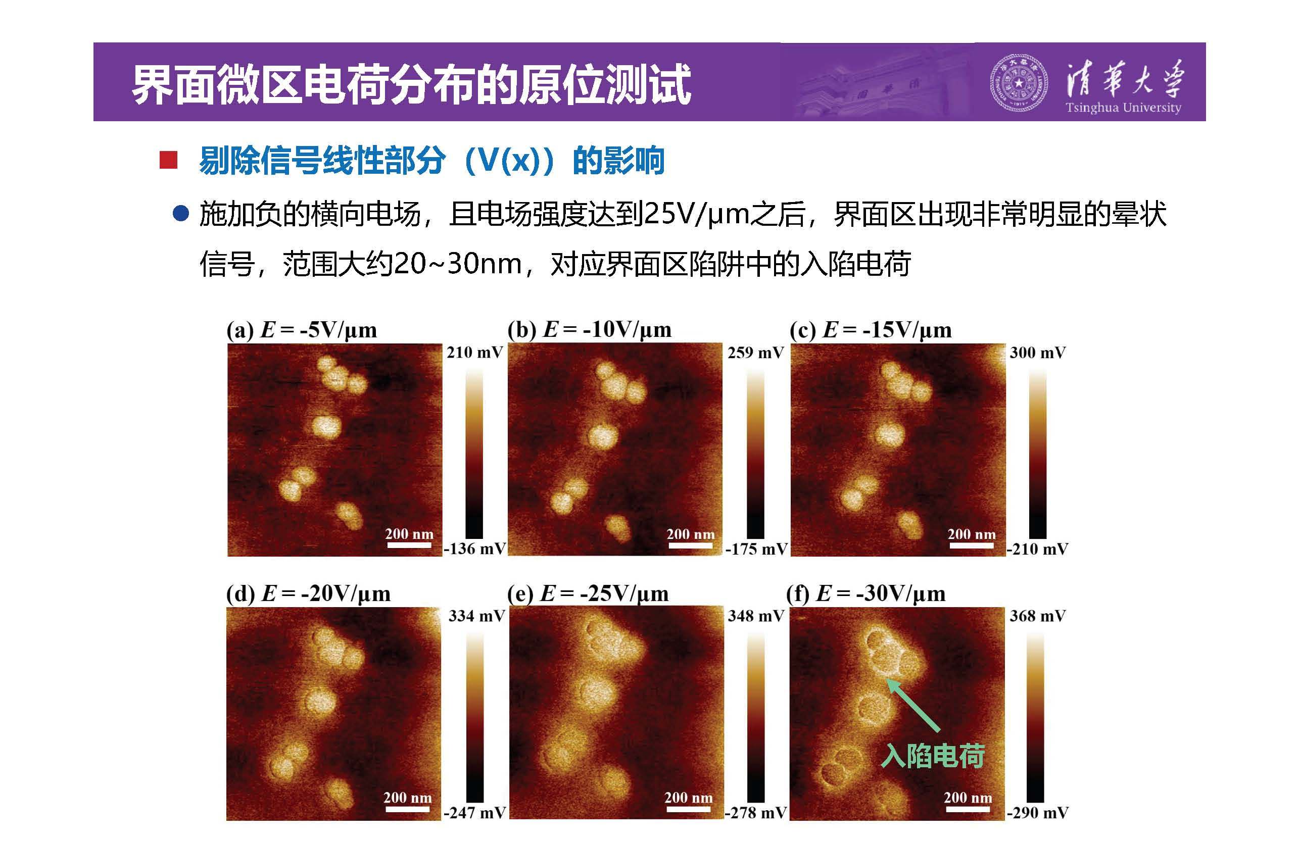 清华大学李琦副教授：介电纳米复合材料界面微区的原位测试技术