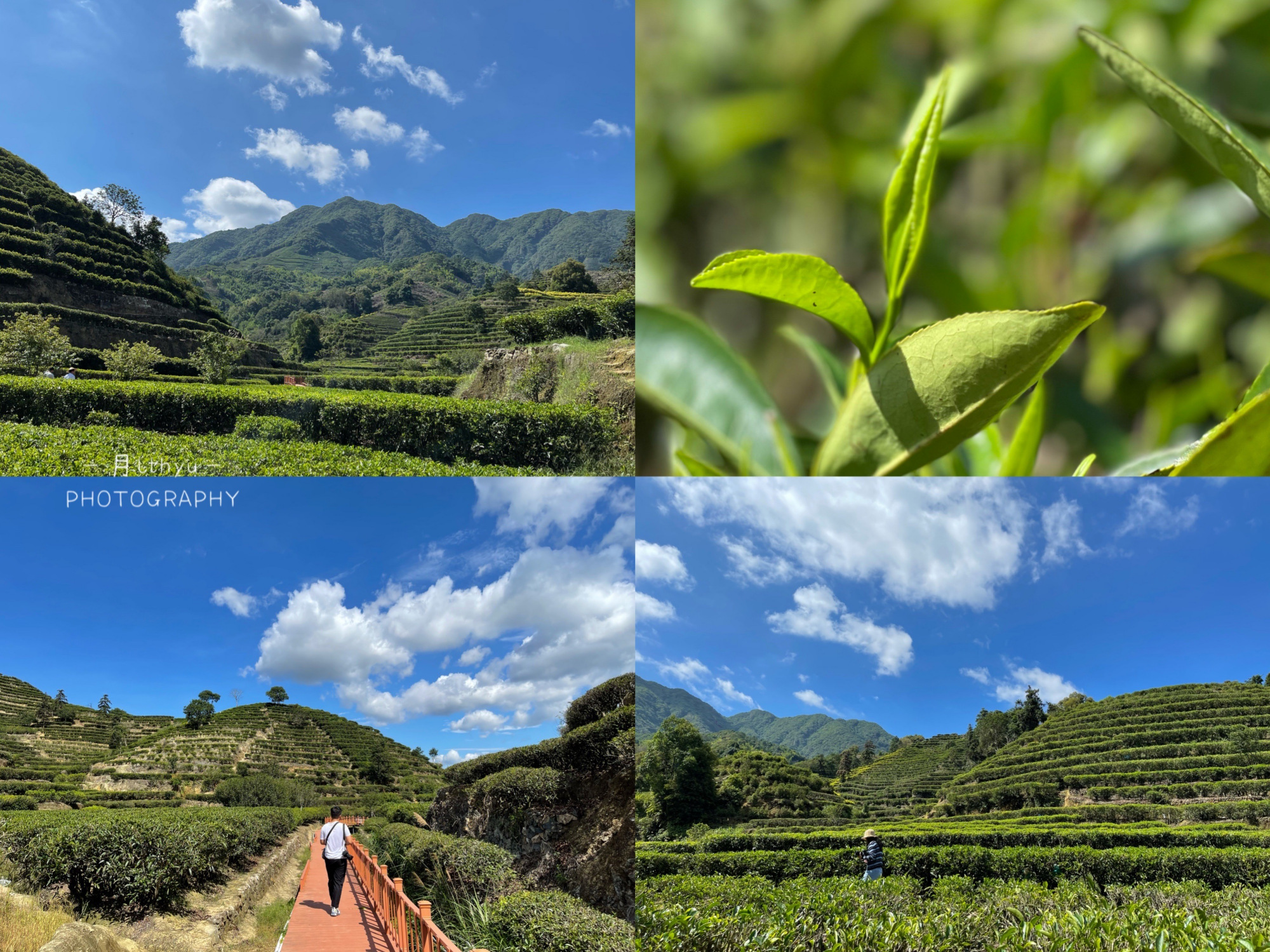 5天4夜的潮州之行，本地人带我们这样玩