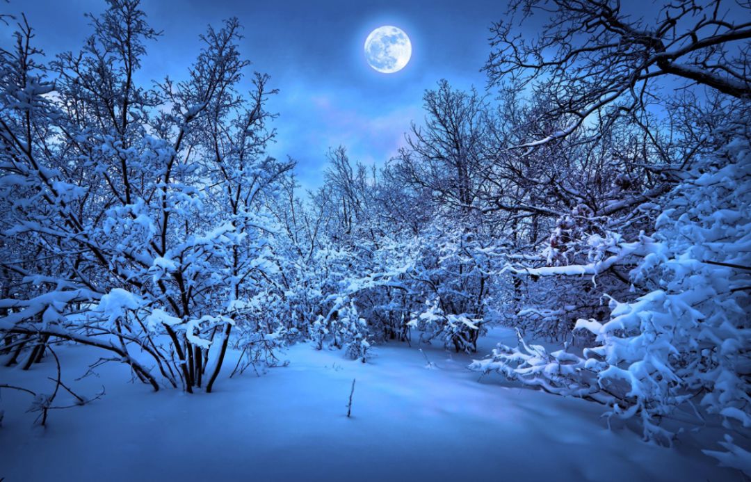 「诗词鉴赏」唐诗里的冬天，意境悠远，回味无穷-第16张图片-诗句网