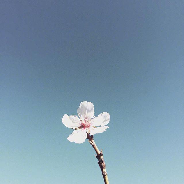 句句深入人心的经典句子  人生感悟短句 精辟图片