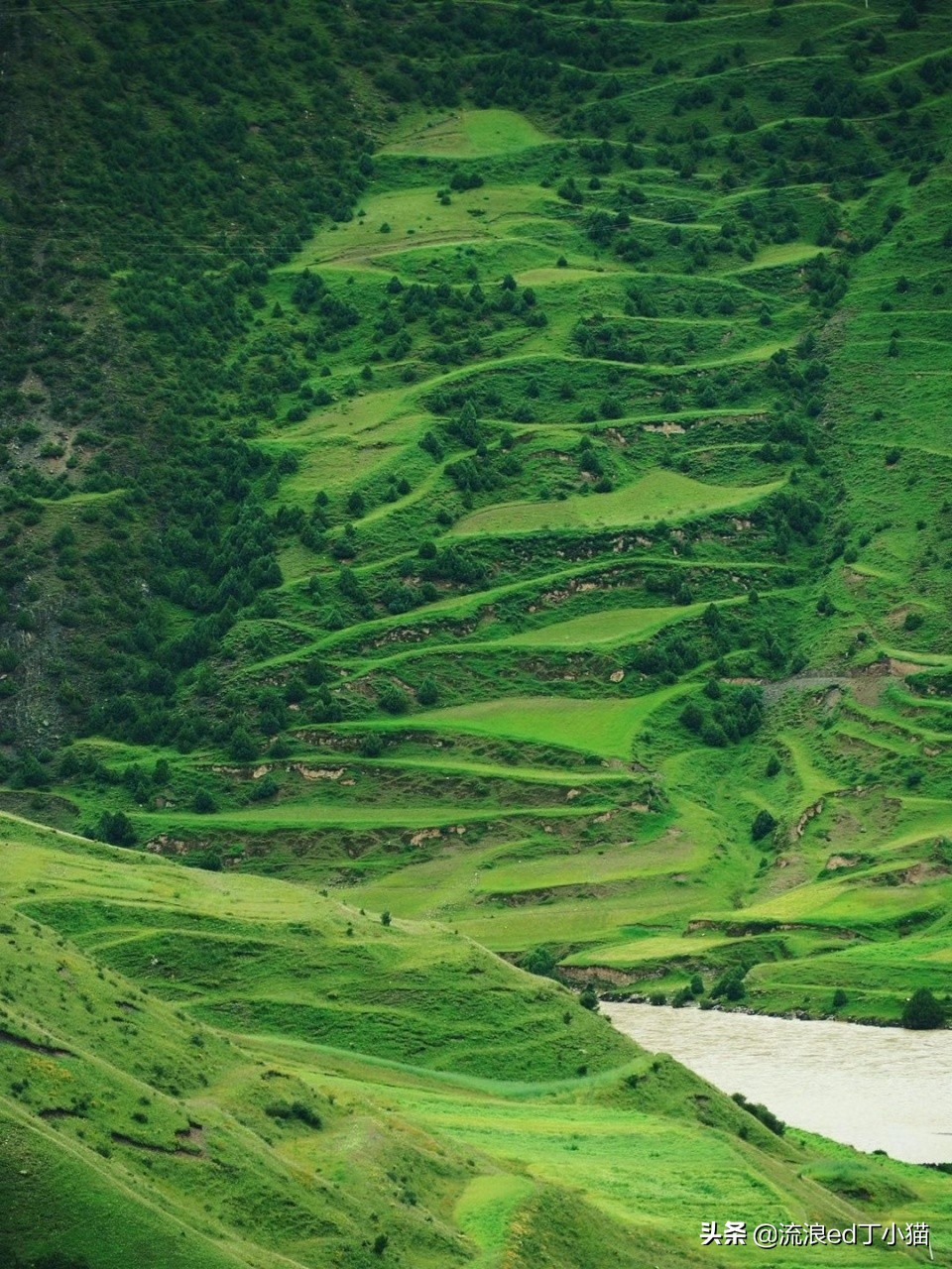 藏北高原，一道神秘峡谷开山劈水，造出绝美“小江南”，不可思议