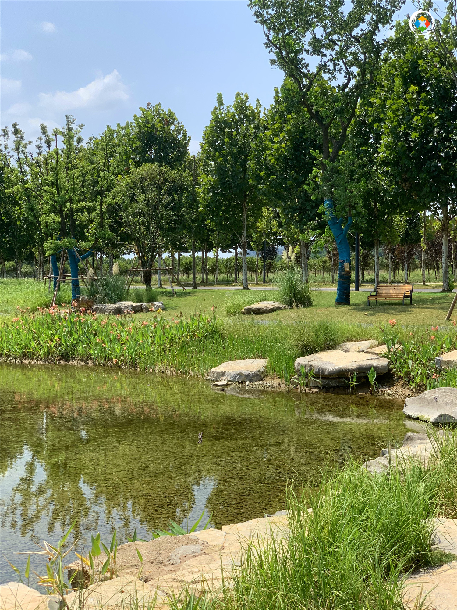 重庆广阳岛的昙花一现，仅开放3个月，却成功入选国家级创新基地