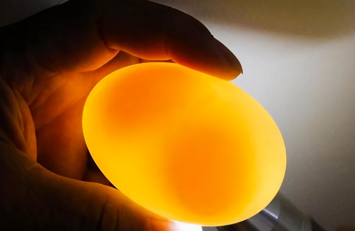 雙黃蛋可以孵出小雞嗎？如果能，是1隻還是2隻呢？