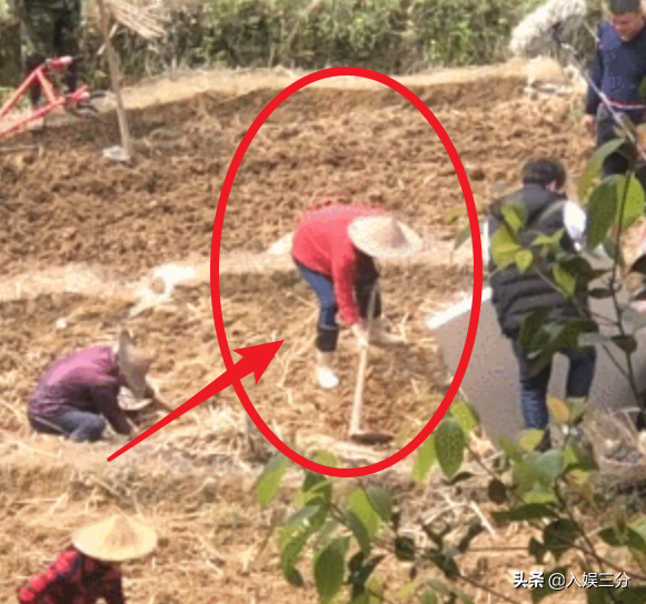 赵丽颖干农活路透曝光，看清她脚下的鞋子，有