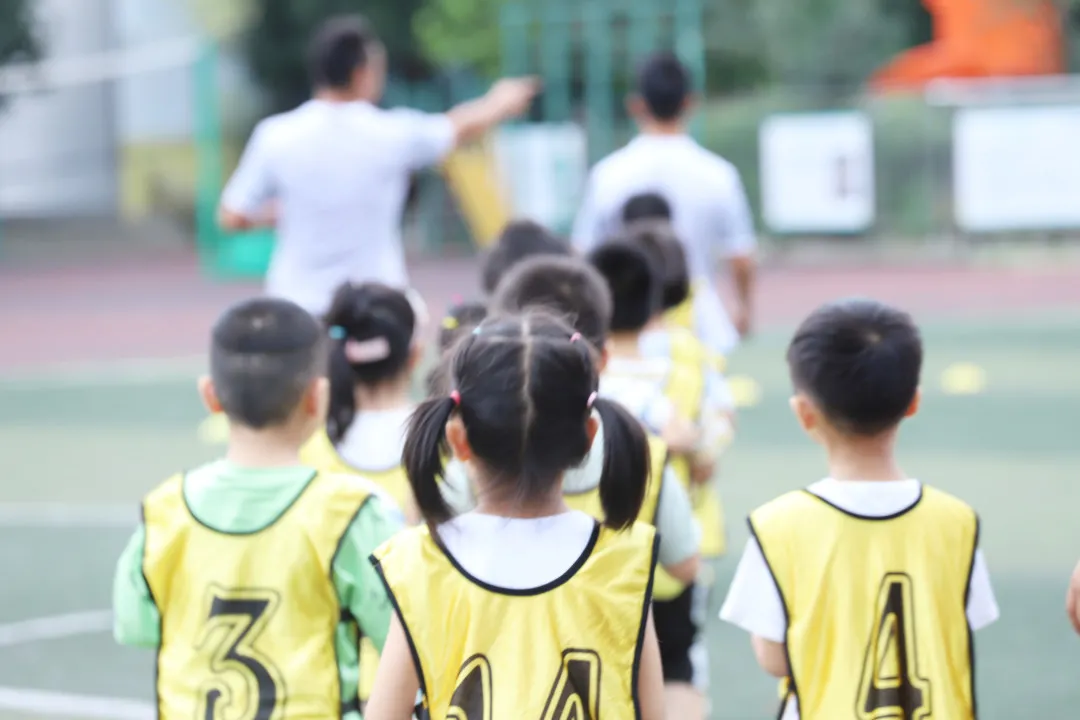 关于四叶娃在天府新区南湖小学一场爱的旅程