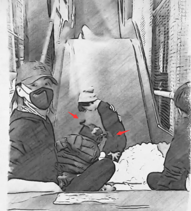 張柏芝帶兒子去遊樂園，大兒子捲髮帥氣，給小兒子扎辮子當女兒養