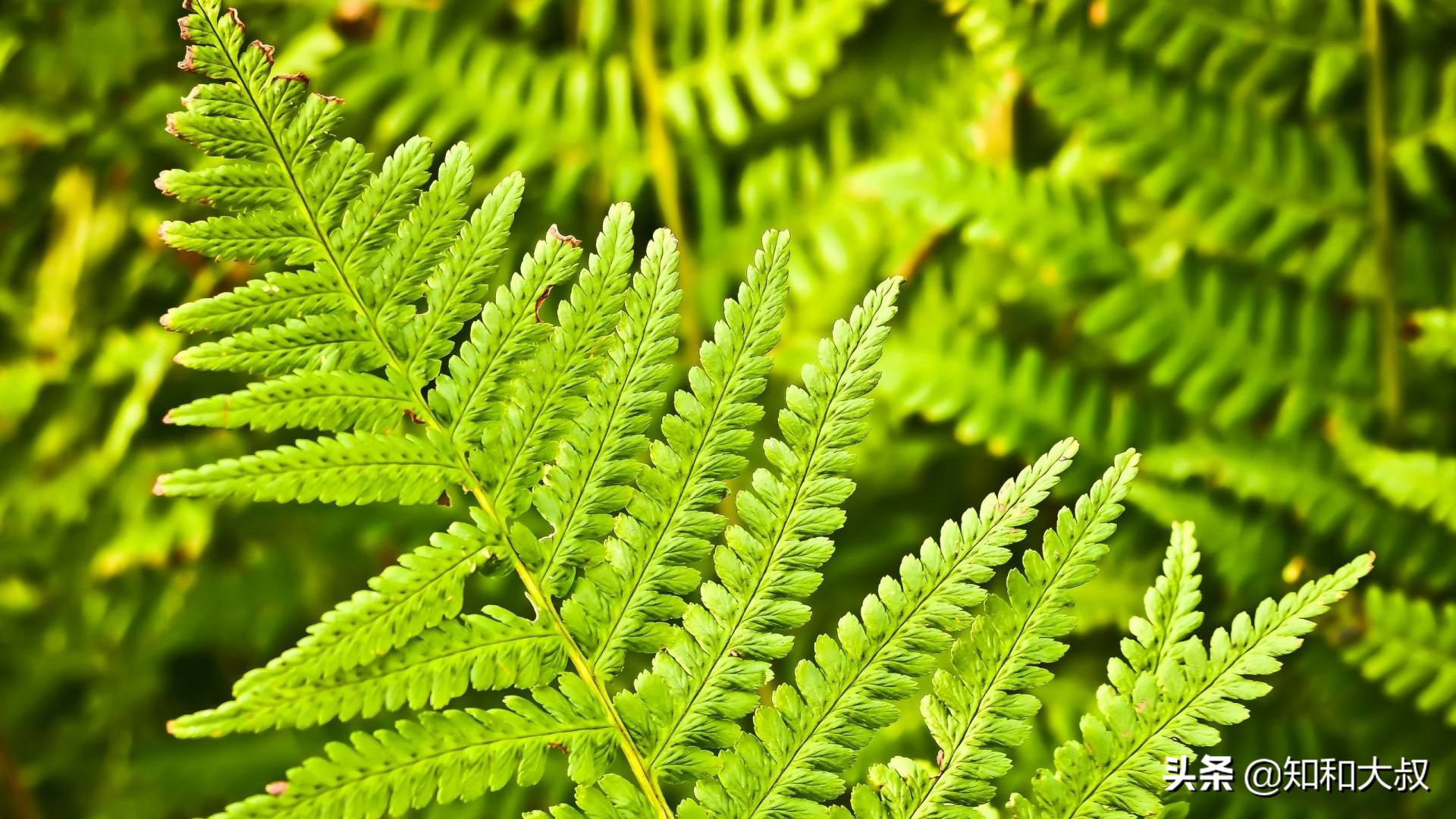 遇到以下四種人，最好保持沉默，不深交