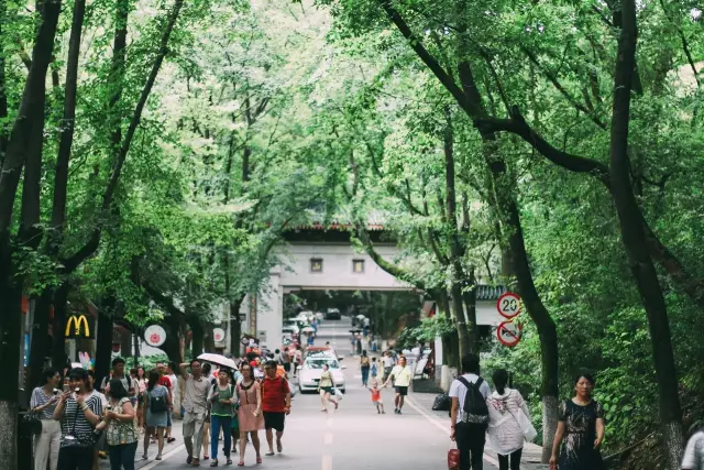 南山天岳：在长沙人心中，岳麓山不只是一座山