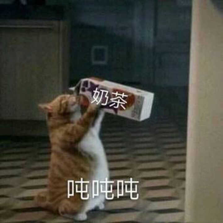 搞笑幽默的句子，我这么有趣，谁错过我都不是我的遗憾