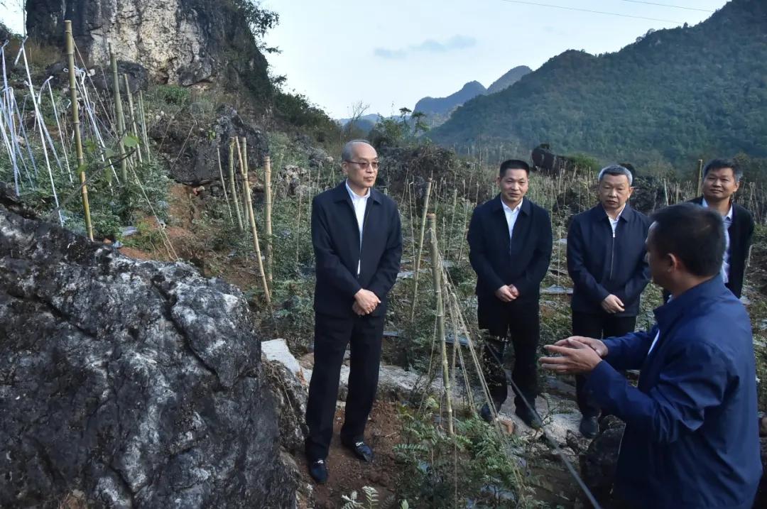 OMG!最高检检察长现场“带货”,还叮嘱了一件大事!