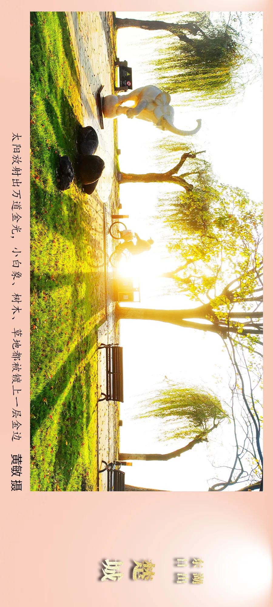 东湖追光，迈出新年第一步