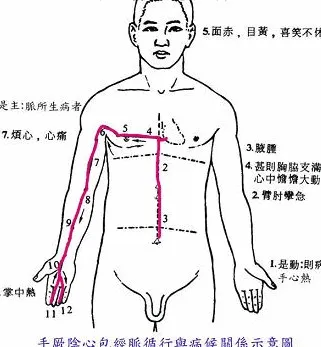 身体小毛病,按压8穴1经,帮助你预防小病变大病-第1张图片-农百科 身体小毛病,按压8穴1经,帮助你预防小病变大病-第1张图片-农百科