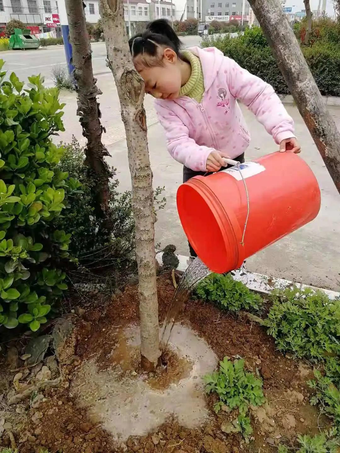 ��֮��.ֲ�̻���--�����еھ�Сѧֲ���ڻ��Ӱ