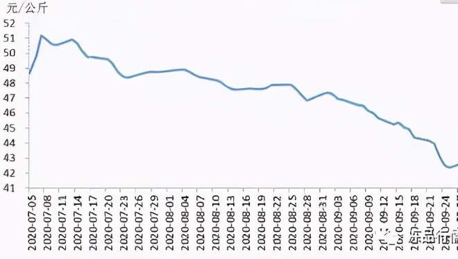 全国猪价暴跌！生猪连跌12周！专家：拐点在12月