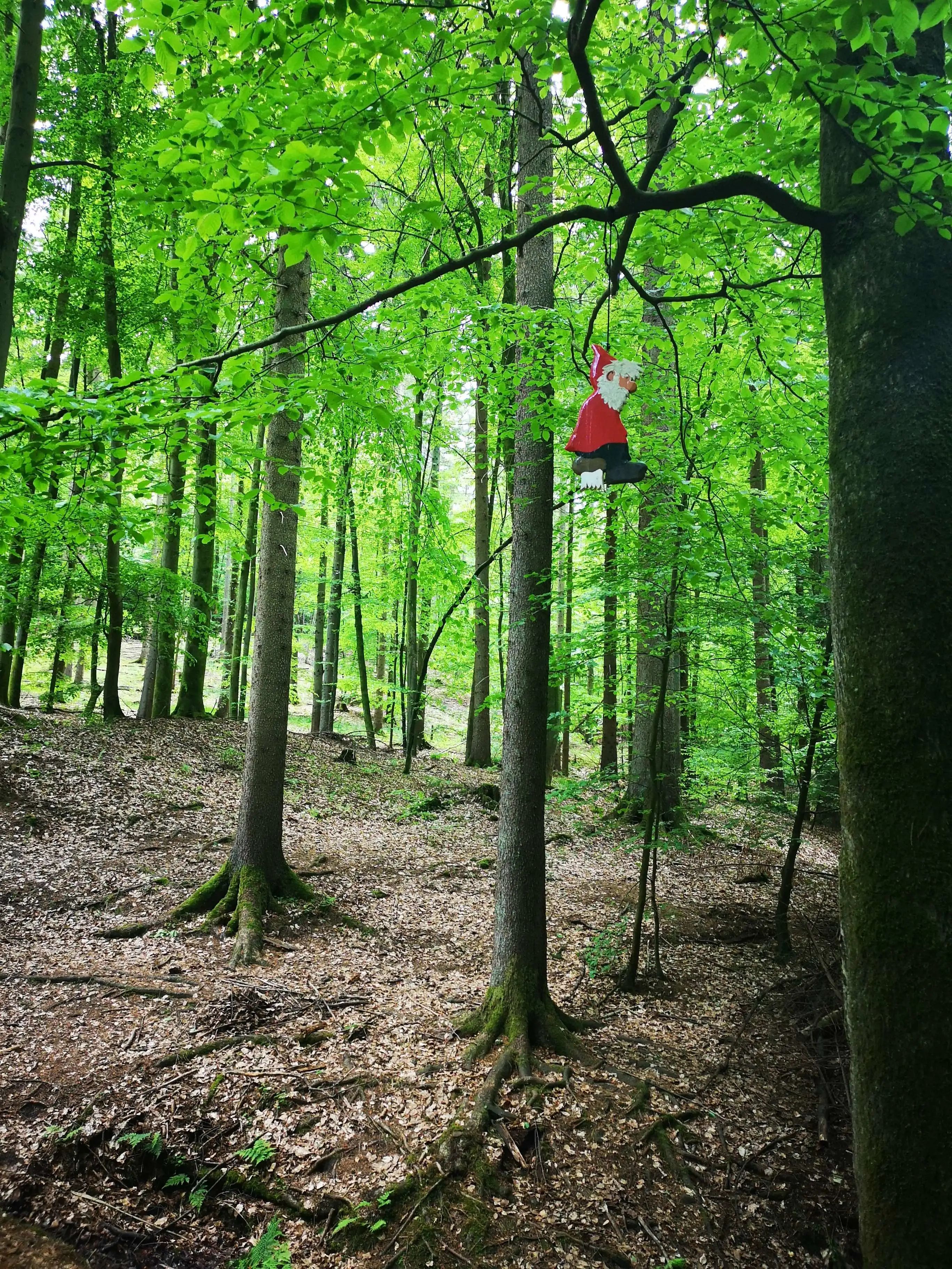 德国UNESCO世界地质公园里的童话小径：儿童探索自然天堂