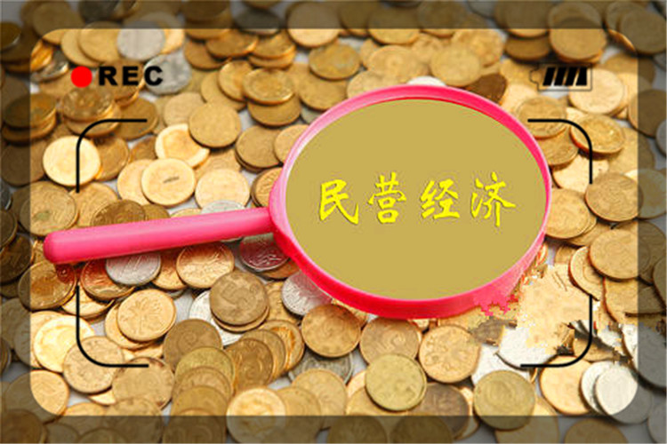 挽救社会上的创业失败者，振兴发展中小微民营