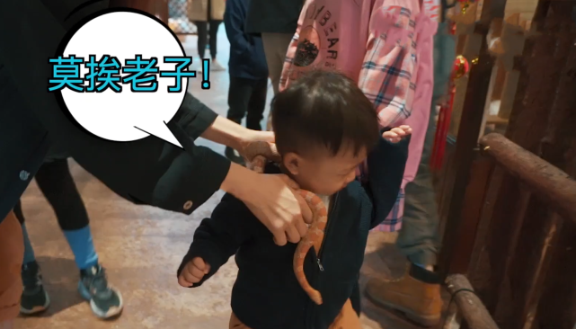 張晉曬一家五口幸福出遊，蔡少芬再現坑娃日常，兒子被嚇到大哭