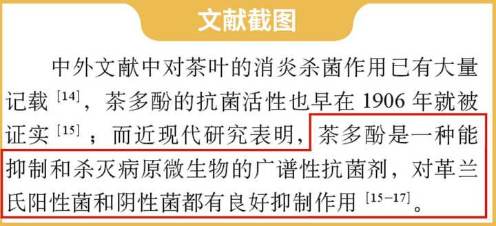 隔夜茶到底能不能喝？实测3款隔夜茶，终于搞清楚了