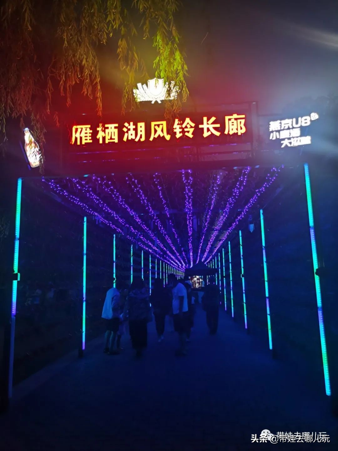 愈夜愈美丽！夜游雁栖湖是一种什么体验？