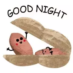 白天不论再忙,夜晚也是要睡的,晚安,好梦