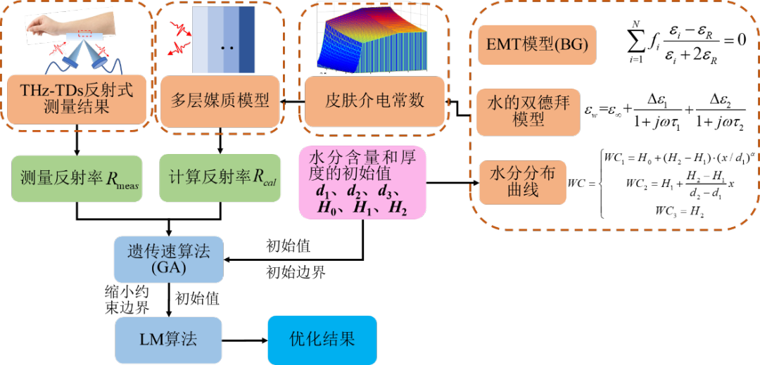 重慶大學楊帆團隊：應用太赫茲時域光譜技術，評估皮膚的水分含量