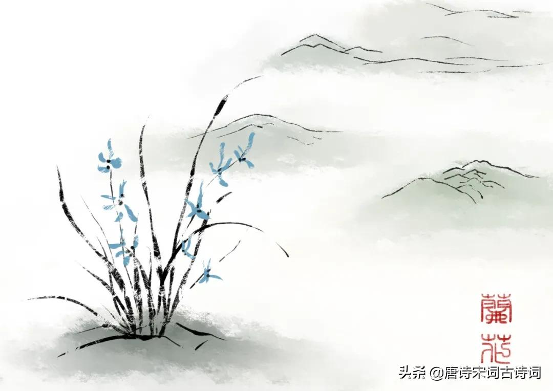 春兰如美人,不采羞自献-第1张图片-非凡网 春兰如美人,不采羞自献-第1张图片-非凡网