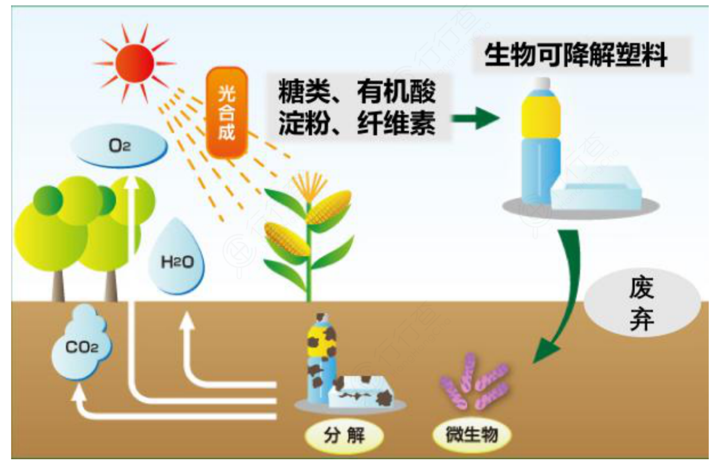 可降解塑料爆发！“最严禁塑令”下千亿蓝海起航