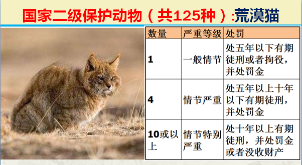 国家最新125类二级野生保护名录，图片及违法对应刑责