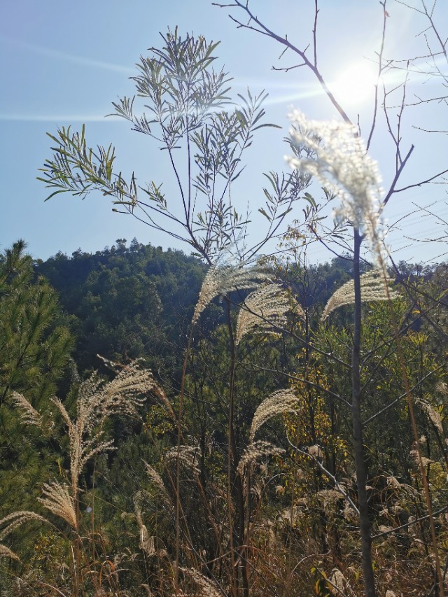 这个难忘的新年，我在客都梅州度过