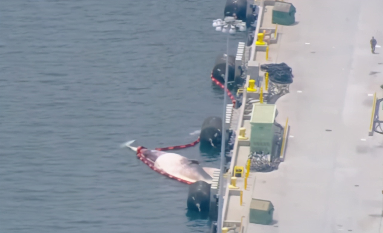 澳大利亚新服役驱逐舰抵达美国，进港才发现背了两笔“血债”