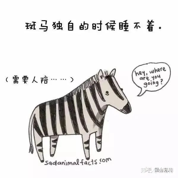 30個(ge) 有趣的科普小星空体育官网入口网站，你知道幾個(ge) ?