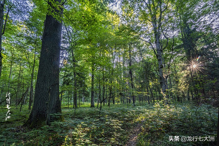 「波兰」波兰自驾，探寻边境地区的三处跨国世界遗产