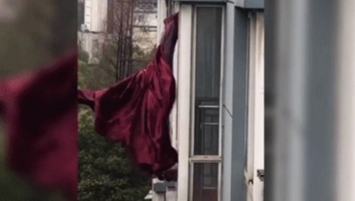 “网红窗帘”拥有了最圆满的结局，你那美美的