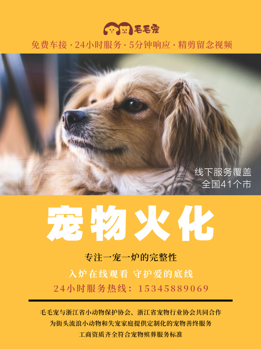 寵物火化的收費標準為什麼是稱重 毛毛寵寵物火化殯葬 毛毛寵寵物火化殯葬 Mdeditor