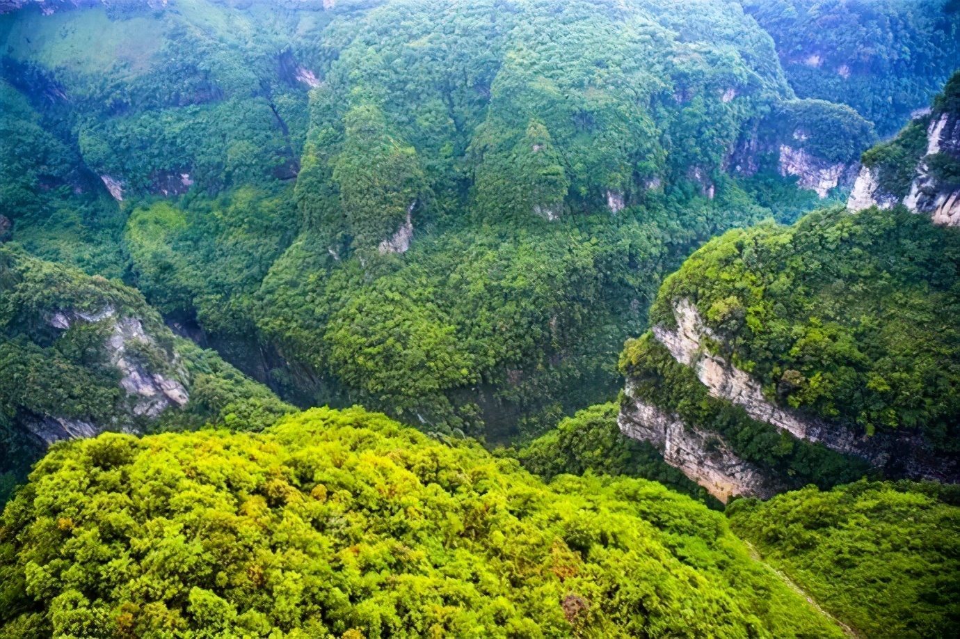 到重庆旅游，这11大景点不容错过，让你感受当地的风情与魅力