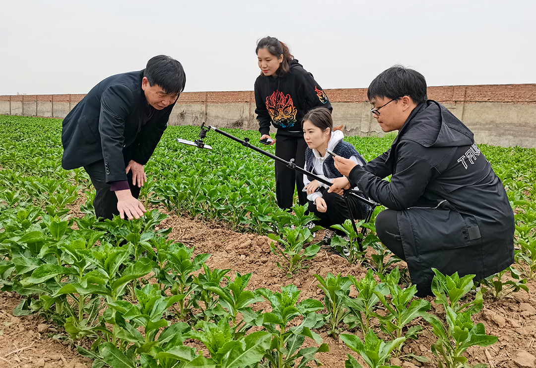 老罗，山药你敢卖吗？咋不敢嘞，敢！｜邮政这波直播带货“666”