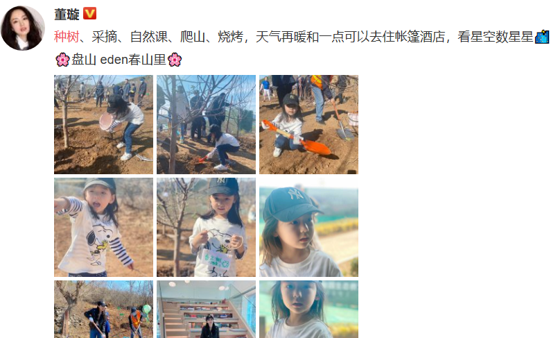 Dong Xuan tomb-sweeping day takes a daughter to plant tree, small dimple of 5 years old grows more beautiful more, work to be like young adult