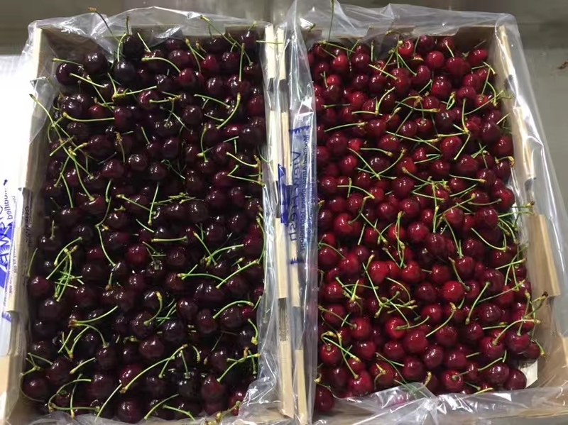 Chinese media speaks truth: China buys the home to prefer Chile car a unit of monthly interest rate child, australia is not willing