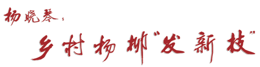 杨晓琴：乡村杨柳“发新枝”