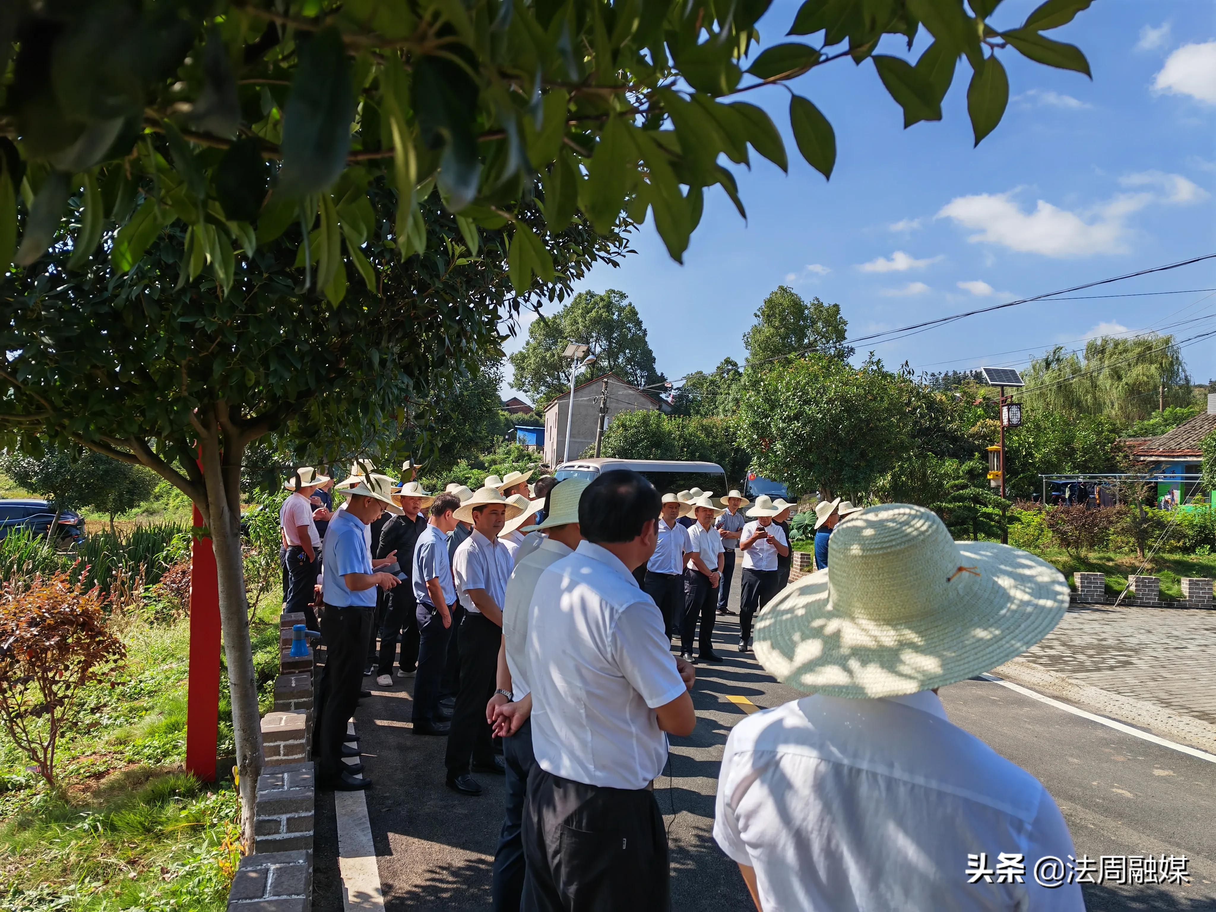 澧县县委书记王兆铭率队观摩澧南镇乡村振兴推进情况