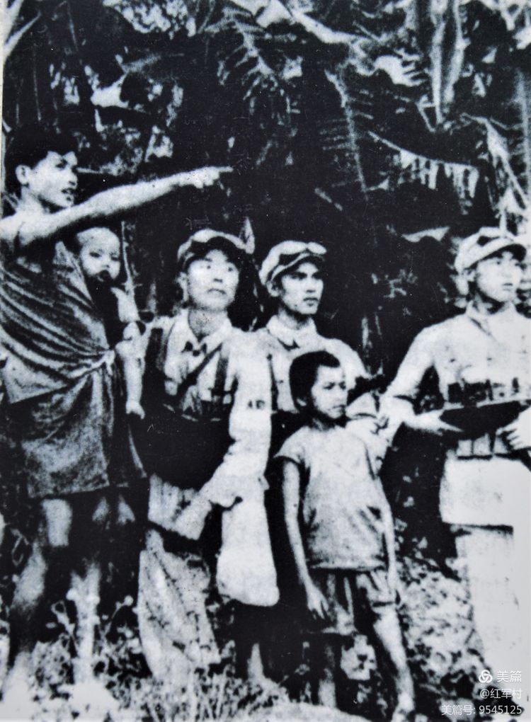 解放初期福建地区剿匪记