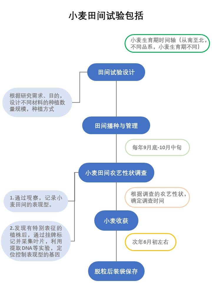 你在种小麦吗？不，我在进行一场修行487 / 作者:UFO爱好者 / 帖子ID:69717