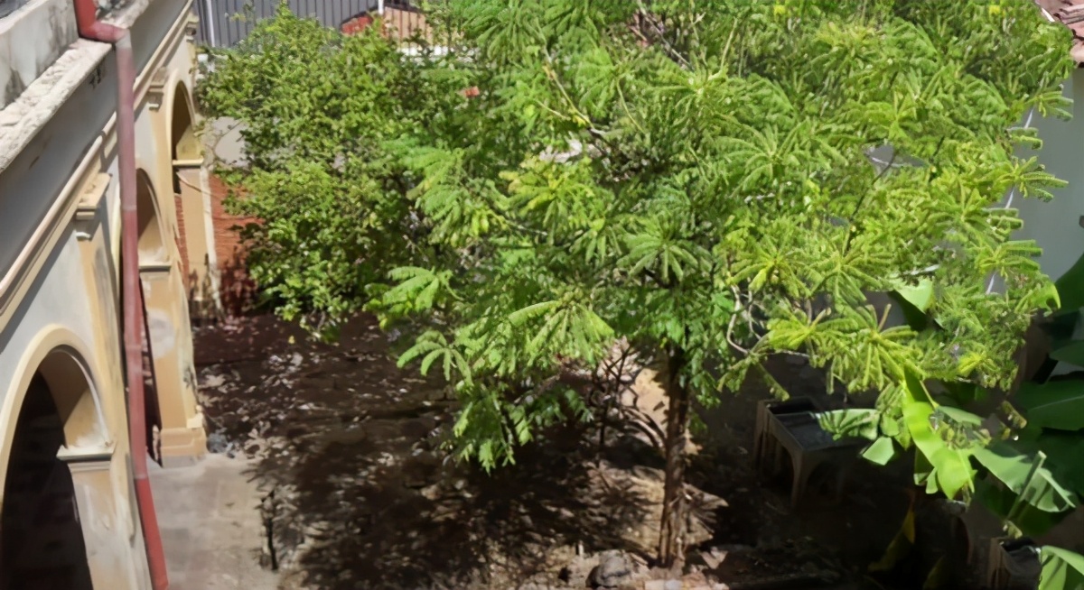 陈赫前妻在国外买房定居！直言美好生活在向她