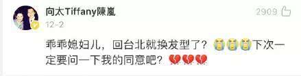 向太火速回应又被解读，发言权全归婆婆，难怪