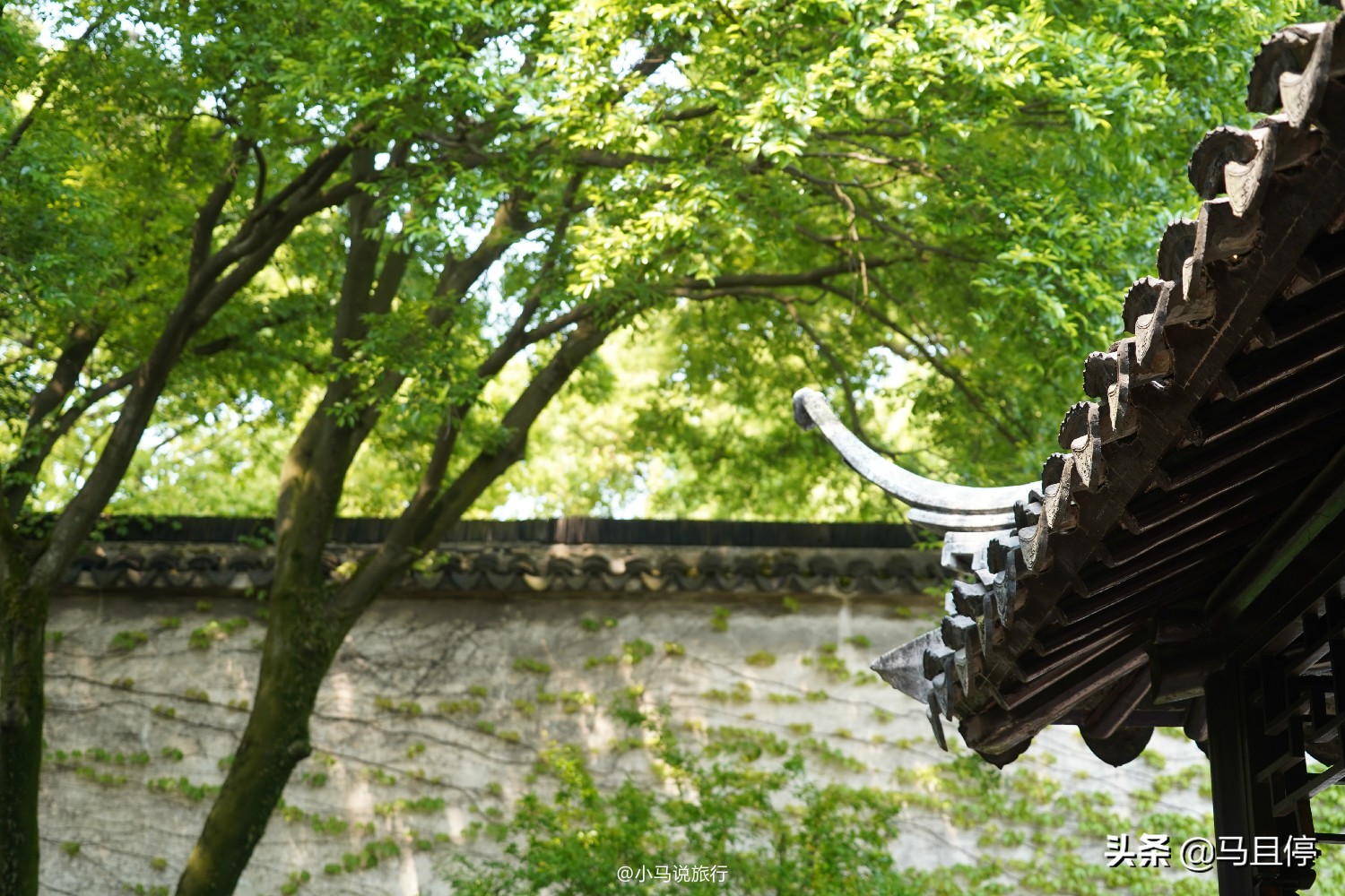 Check in the niche gardens in Suzhou, the exterior looks ordinary, but the scenery inside is rich and beautiful