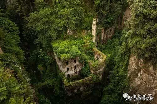 人類消失，地球會變成什麼樣？ 看這些圖也許能感受到大自然的震撼