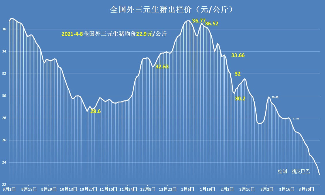 猪价大跌13.87元，猪市泡沫“崩塌”，养猪行业进入新格局