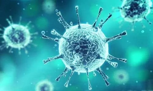 拜登正式摊牌了：若当选总统，绝不会赦免特朗